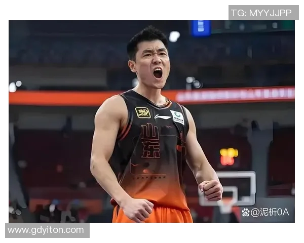 辽宁队与安哥拉精彩对决全场录像回放及精彩瞬间分析